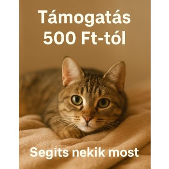 Cica eledel támogatás 