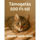 Cica eledel támogatás 