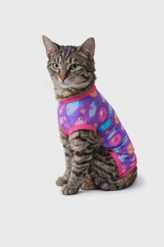 Macska műtét utáni ruha ivartalanítás után – kényelmes gyógyruha gallér helyett