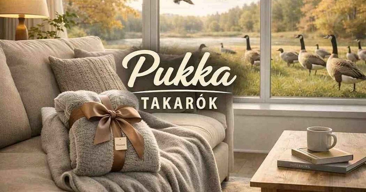Vissza a vásárláshoz